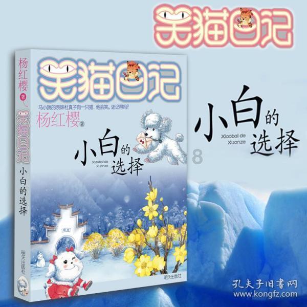 小场景里的“大幸福” 碧江百岁老人的别样生日宴