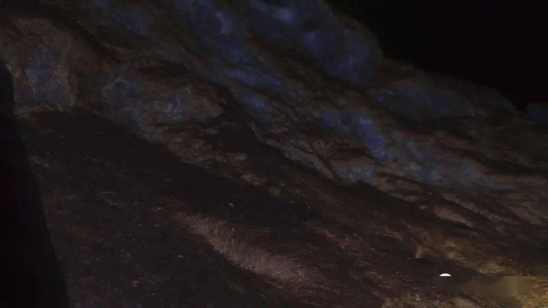 奇点灰烬