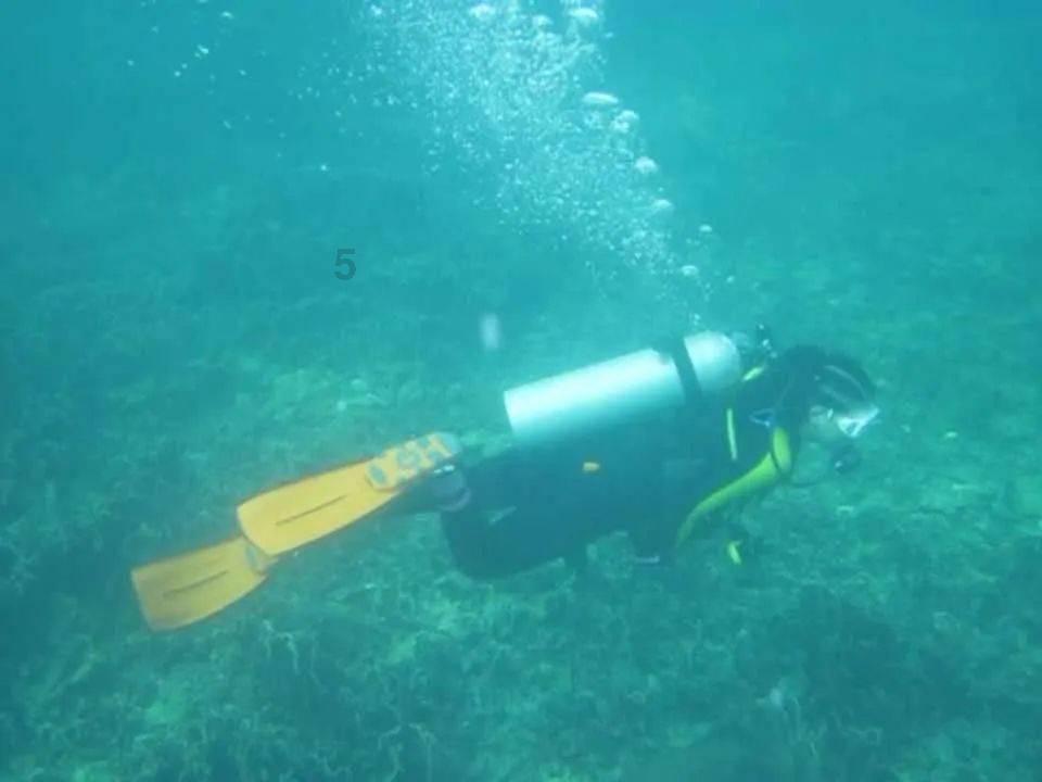 细胞分裂4